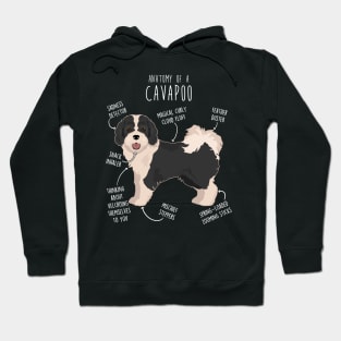 Parti Cavapoo Dog Anatomy Hoodie